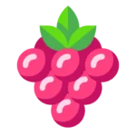 Berry Berry Life Logo