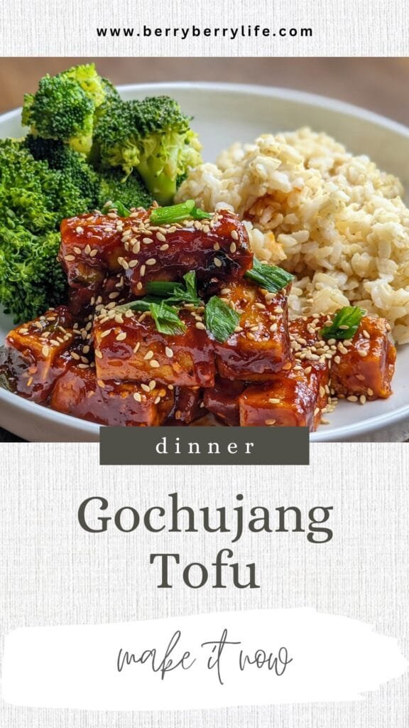 Gochujang Tofu Vertical Poster for Pinterest