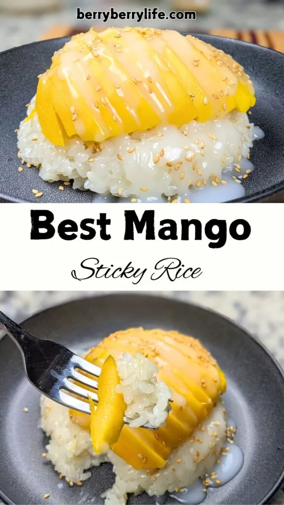 Mango Sticky Rice Vertical Poster