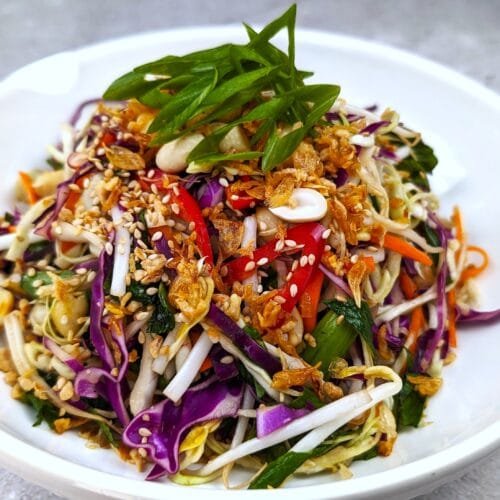 Asian Coleslaw on a white bowl