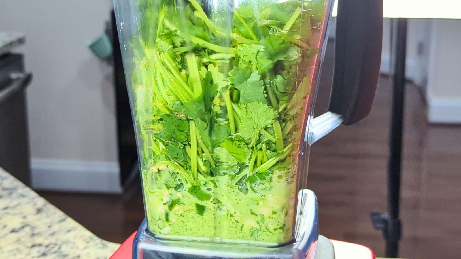 Cilantro Chutney Coriander Chutney Berry Berry Life