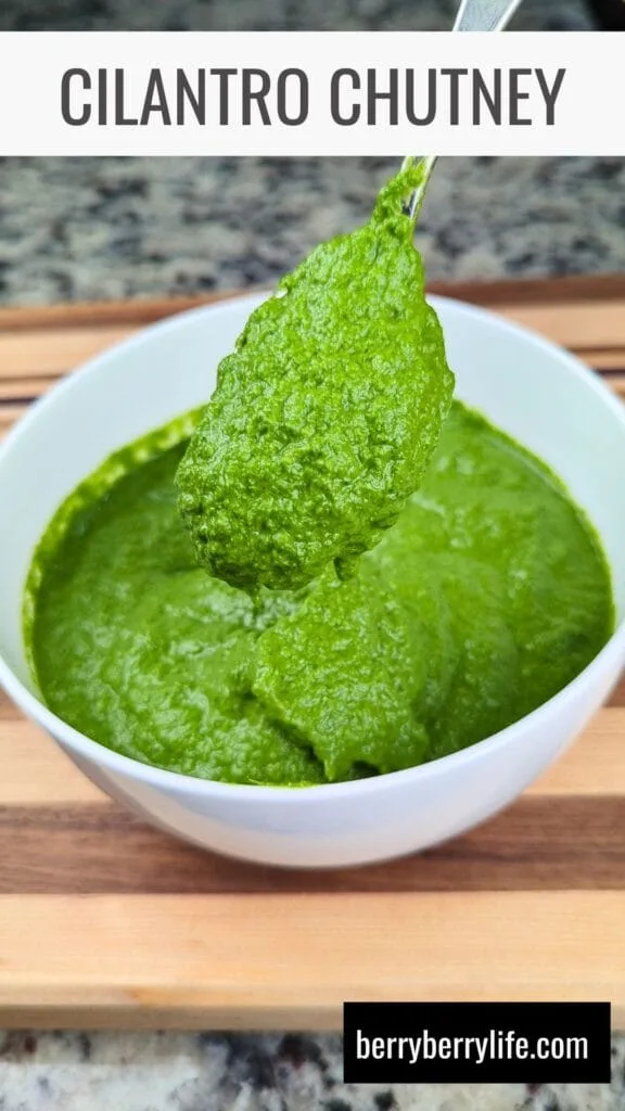 Cilantro Chutney in a white bowl vertical image for Pinterest