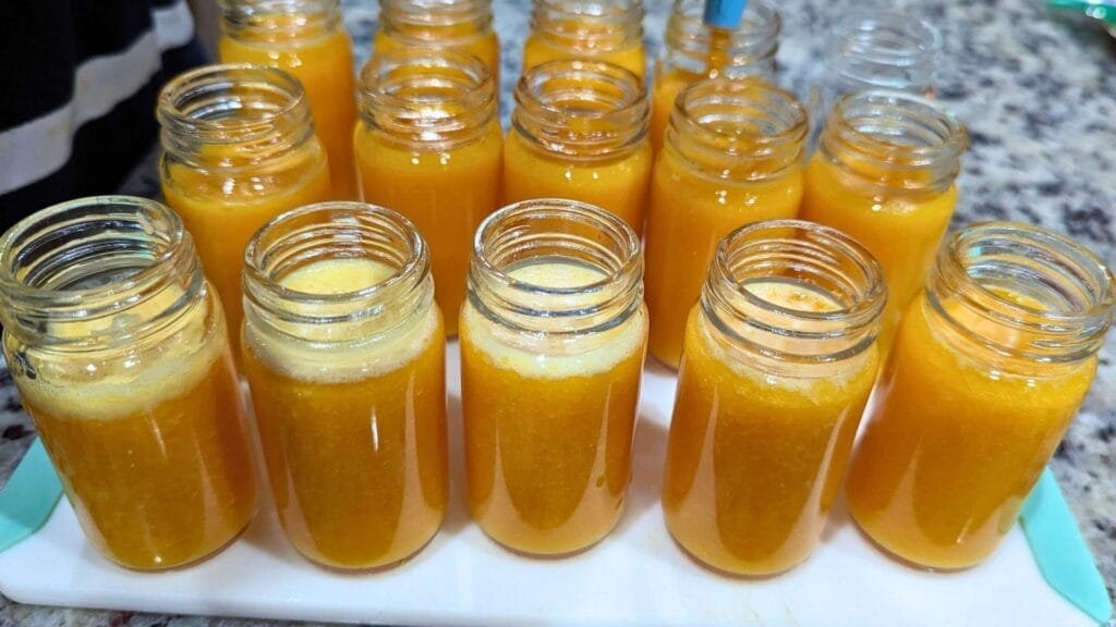 Healthy Gut Shots