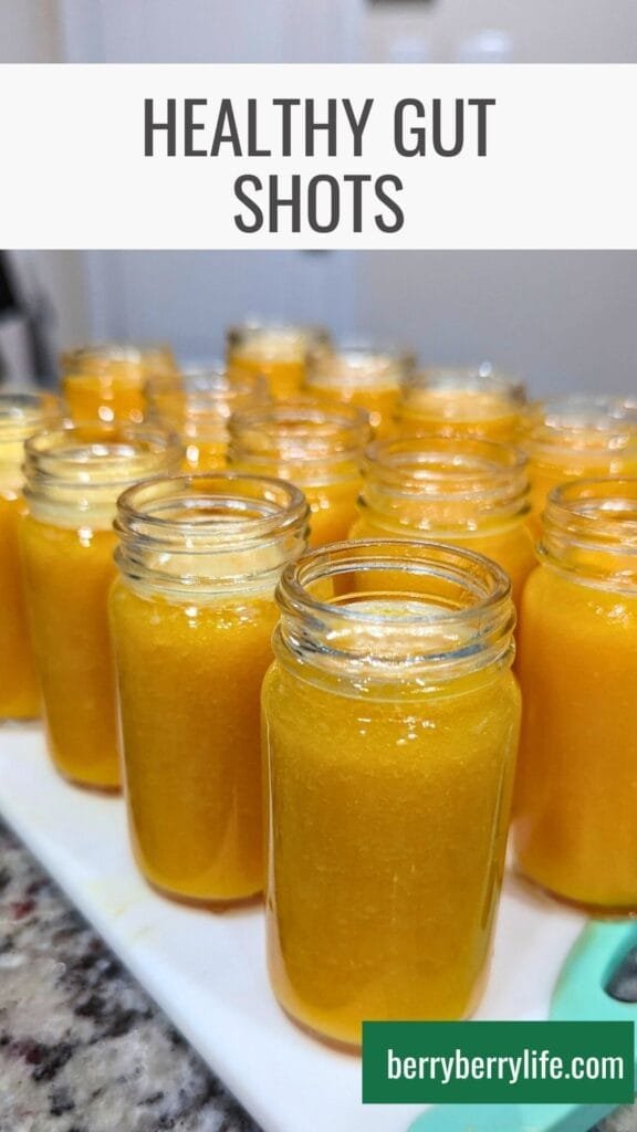 Healthy Gut Shots vertical image for Pinterest