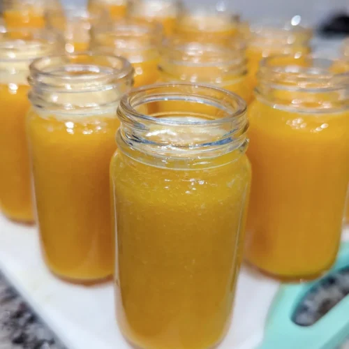 Immunity Gut Shots vertical image