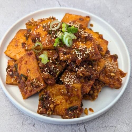 Spicy Braised Tofu (Dubu-Jorim) Served in a white plate