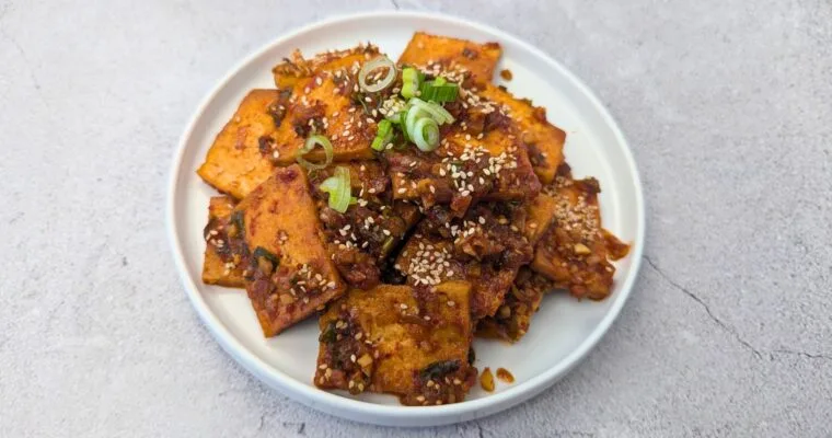 Spicy Braised Tofu (Dubu-Jorim)