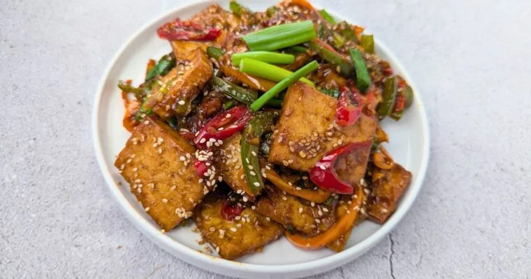 Chinese Braised Tofu