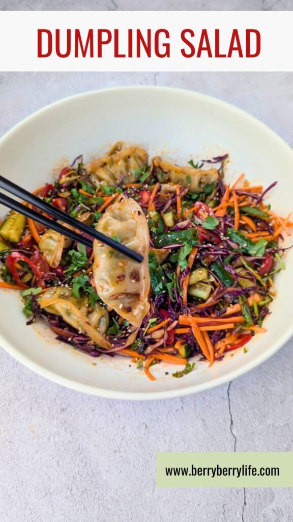 Dumpling Salad vertical image for Pinterest