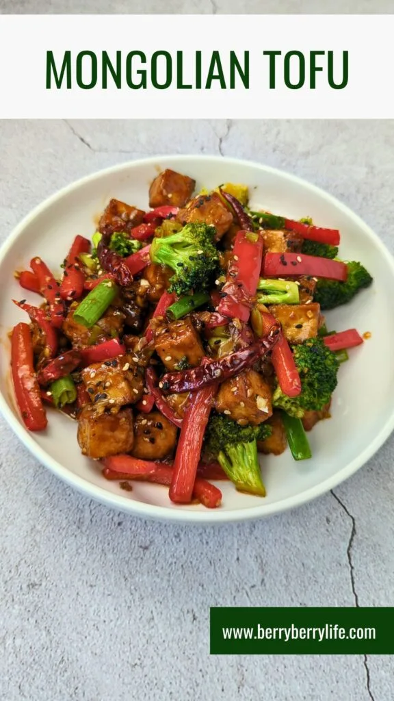 Mongolian Tofu Vertical image for Pinterest