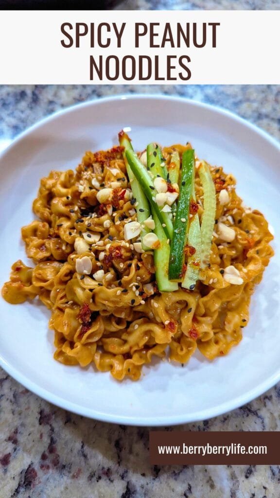 Spicy Peanut Noodles Vertical image for Pinterest
