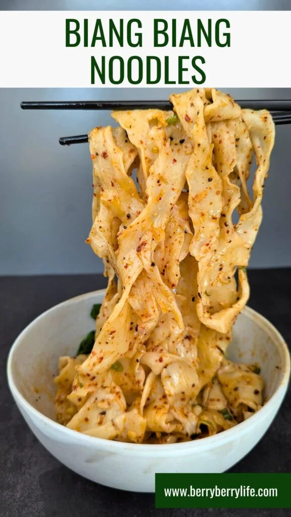 Biang Biang Noodles vertical image for Pinterest