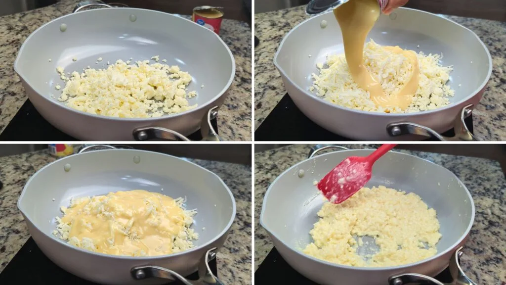 adding grated Paneer and Condensed Milk